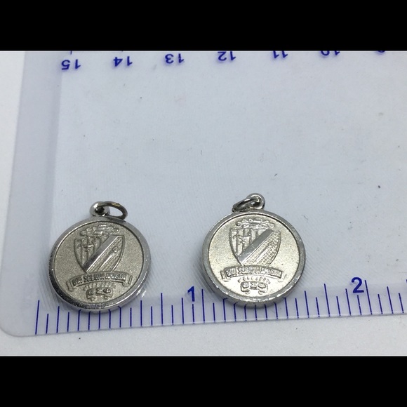 Beta Sigma PHI Necklace Charm Fob Pendant - Picture 6 of 7